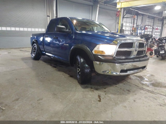 2010 DODGE RAM 1500 ST VIN: 1D7RV1GP2AS193717