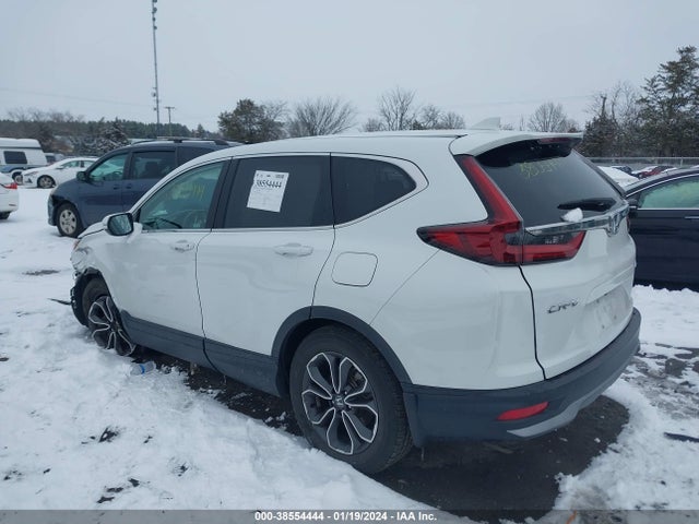 Honda Cr-v Awd Ex 2020 2HKRW2H55LH677165 Image 3