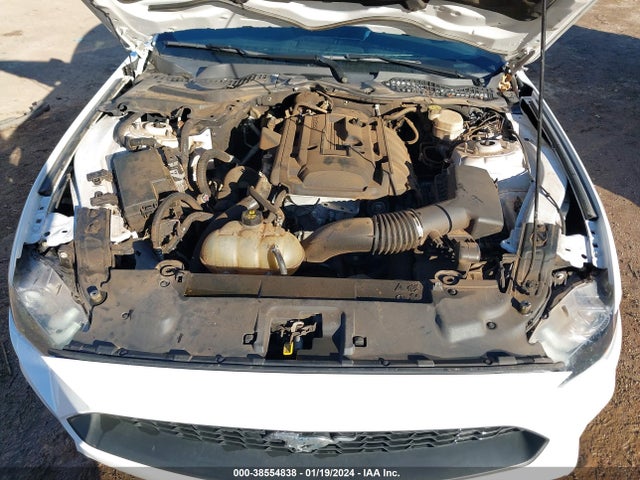 Ford Mustang Ecoboost Premium Fastback 2020 1FA6P8THXL5136638 Image 10