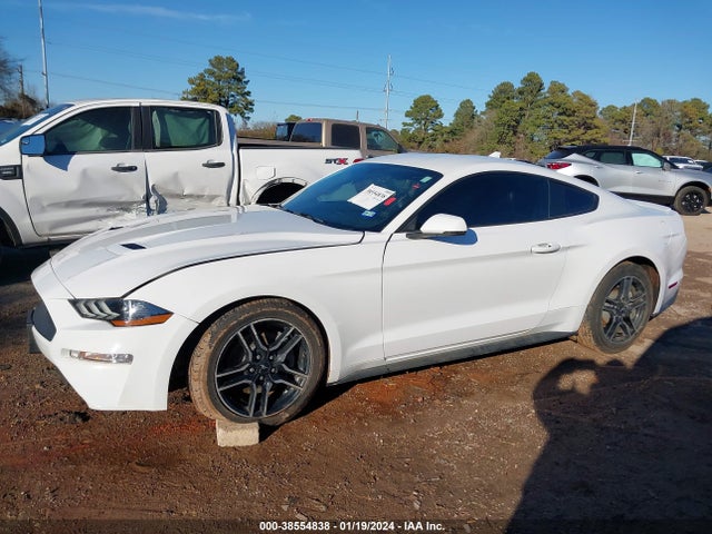 Ford Mustang Ecoboost Premium Fastback 2020 1FA6P8THXL5136638 Image 14