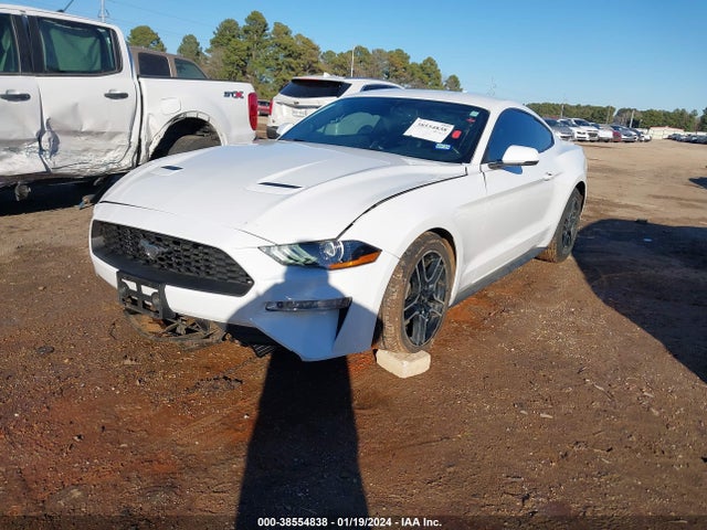 Ford Mustang Ecoboost Premium Fastback 2020 1FA6P8THXL5136638 Image 2