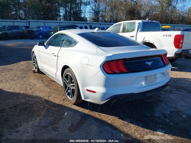 Ford Mustang Ecoboost Premium Fastback 2020 1FA6P8THXL5136638 Image 3