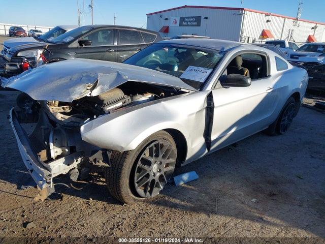 Ford Mustang V6 2014 1ZVBP8AM4E5254354 Image 2