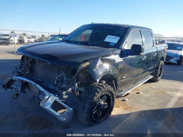 1FTEW1EG9GFC19675 Ford F-150 Xlt