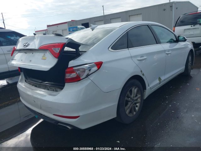 5NPE24AF8FH006439 Hyundai SONATA SE