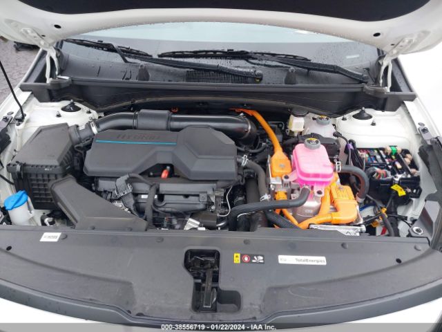 KNDPUCAG8P7083646 KIA Sportage Hybrid Lx