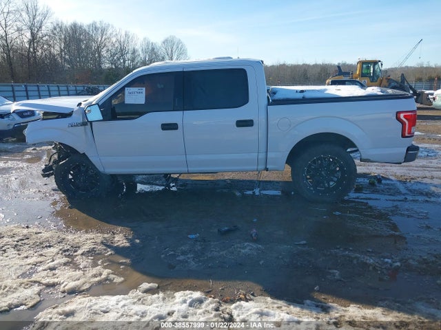 Ford F-150 Xlt 2016 1FTEW1EPXGKF83191 Image 13