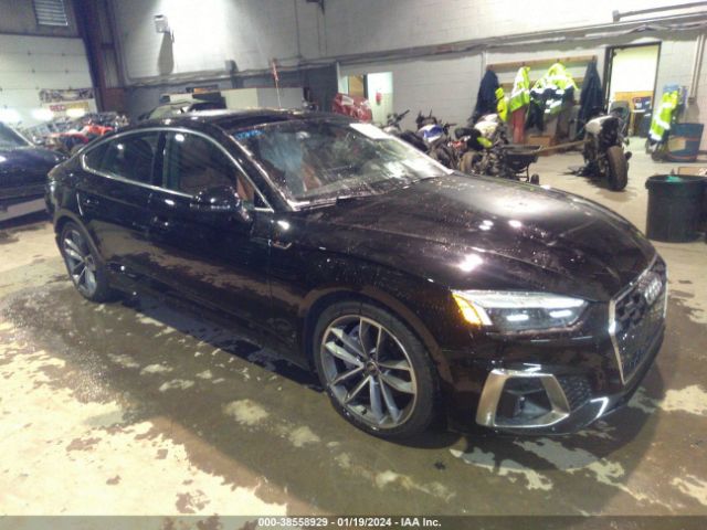 2023 AUDI A5 SPORTBACK WAUDACF50PA068173