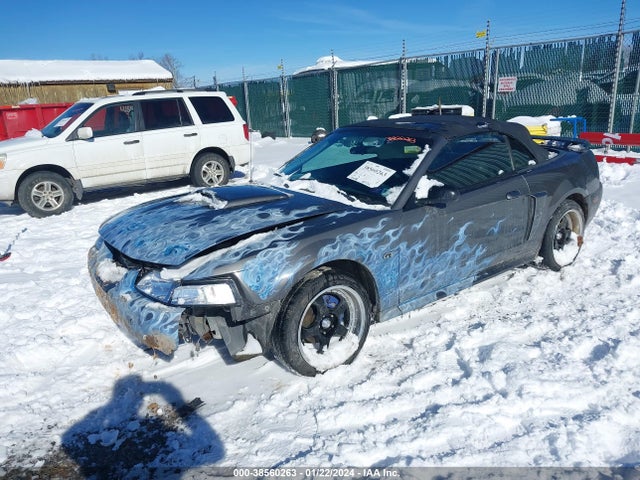 2003 FORD MUSTANG GT VIN: 1FAFP45X03F313608
