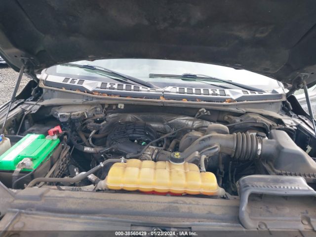 1FTEW1E81GKE36850 Ford F-150 Xlt