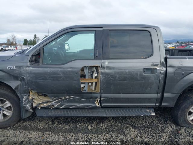 1FTEW1E81GKE36850 Ford F-150 Xlt