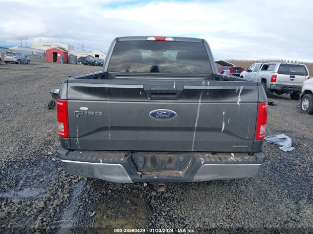 1FTEW1E81GKE36850 Ford F-150 Xlt