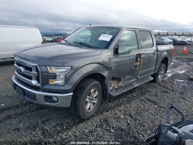1FTEW1E81GKE36850 Ford F-150 Xlt