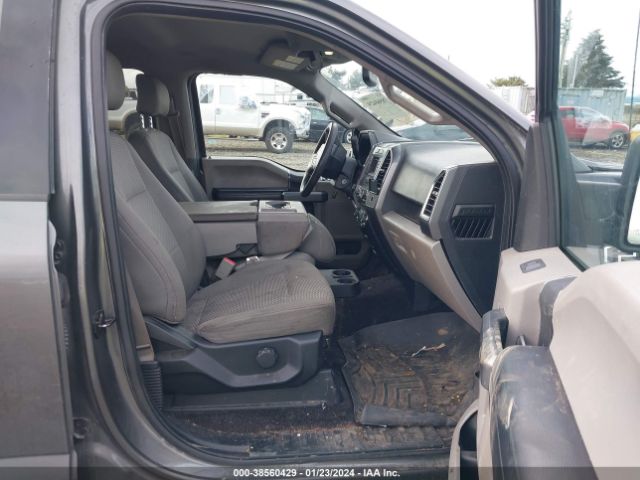 1FTEW1E81GKE36850 Ford F-150 Xlt
