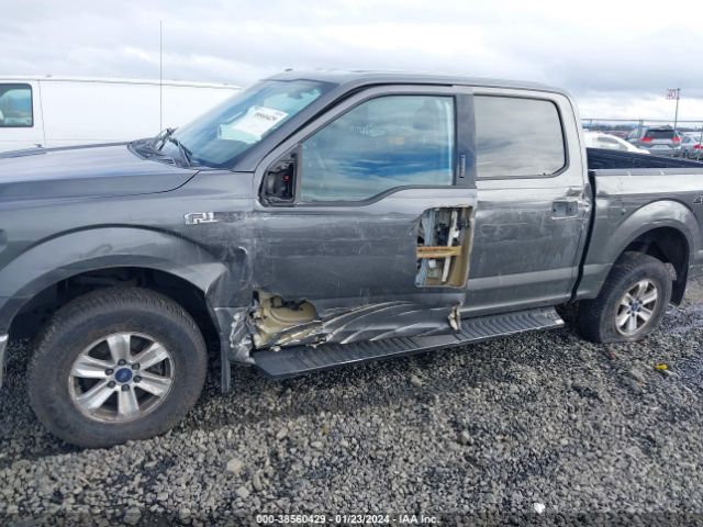 1FTEW1E81GKE36850 Ford F-150 Xlt