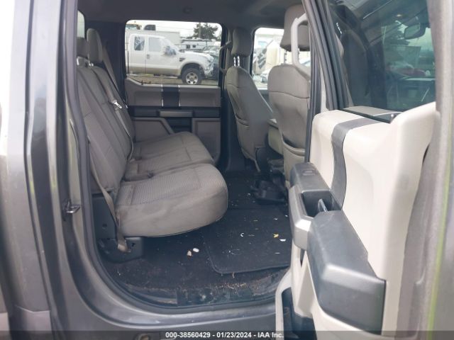 1FTEW1E81GKE36850 Ford F-150 Xlt