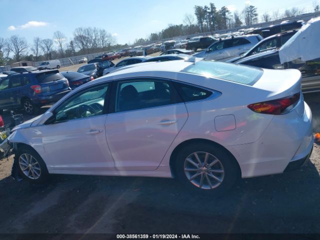 5NPE24AF5KH819375 Hyundai SONATA SE