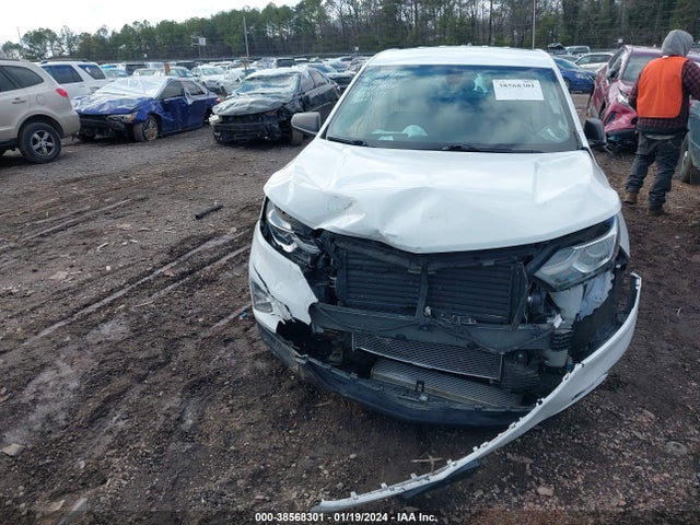 Chevrolet EQUINOX LS 2019 2GNAXSEV3K6145938 Image 12