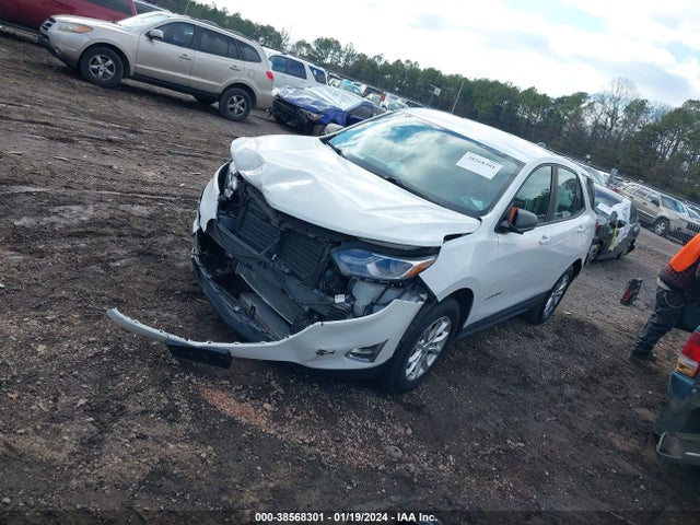 Chevrolet EQUINOX LS 2019 2GNAXSEV3K6145938 Image 2