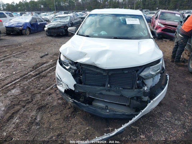 Chevrolet EQUINOX LS 2019 2GNAXSEV3K6145938 Image 6