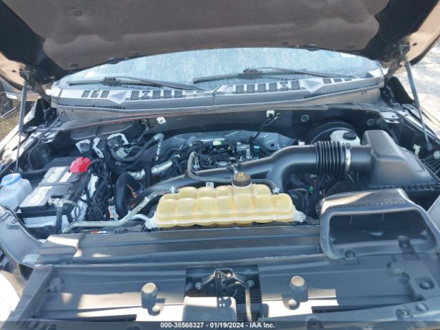 1FTEW1CP7KKD12245 Ford F-150 Xlt