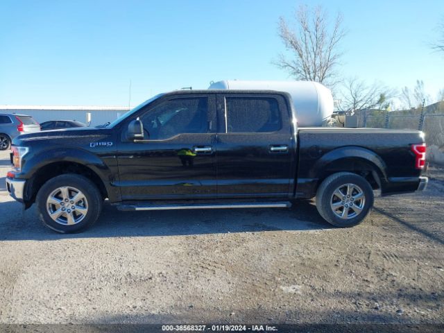 1FTEW1CP7KKD12245 Ford F-150 Xlt