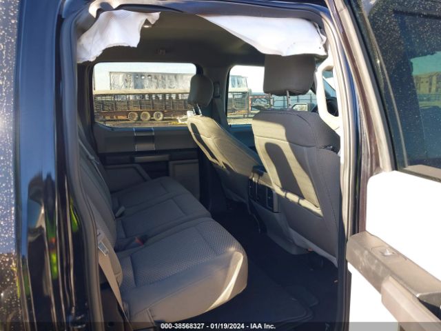 1FTEW1CP7KKD12245 Ford F-150 Xlt
