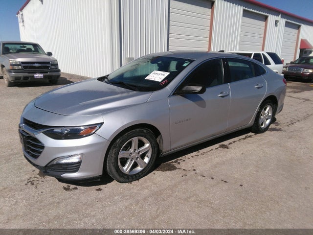 Chevrolet Malibu 1ls 2019 1G1ZB5ST7KF206446 Image 2
