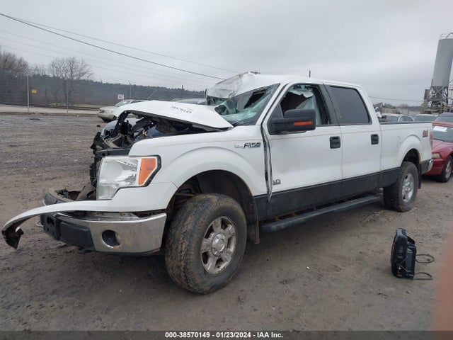 2011 FORD F-150 XLT VIN: 1FTFW1EF4BKD49925