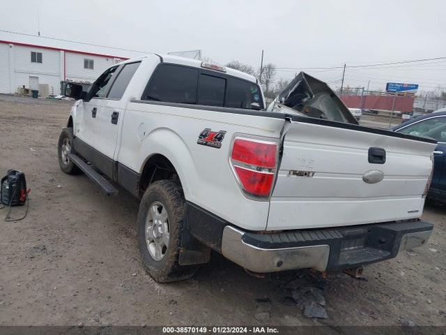 2011 FORD F-150 XLT VIN: 1FTFW1EF4BKD49925
