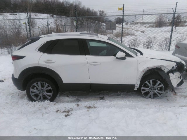 2020 MAZDA CX-30 PREMIUM PACKAGE VIN: 3MVDMBEM8LM128533