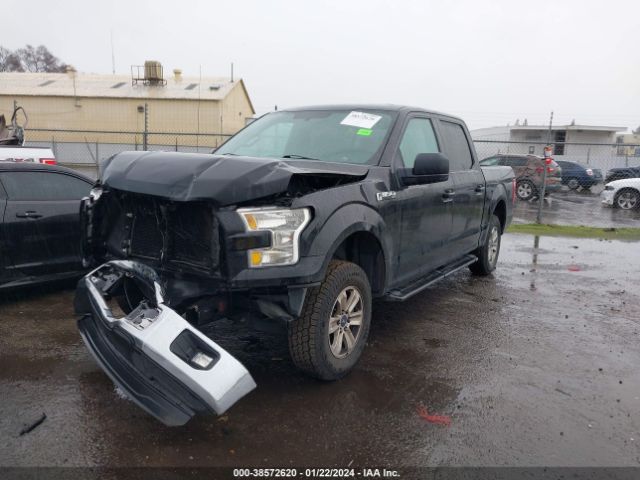 1FTEW1C88GFA49644 Ford F-150 Xlt