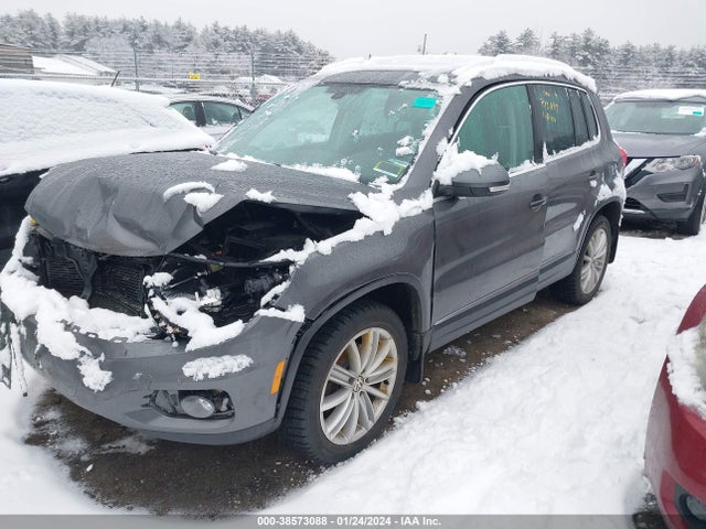 WVGBV7AX9GW594363 Volkswagen TIGUAN SE