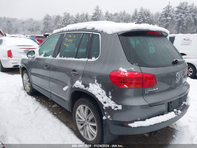 WVGBV7AX9GW594363 Volkswagen TIGUAN SE