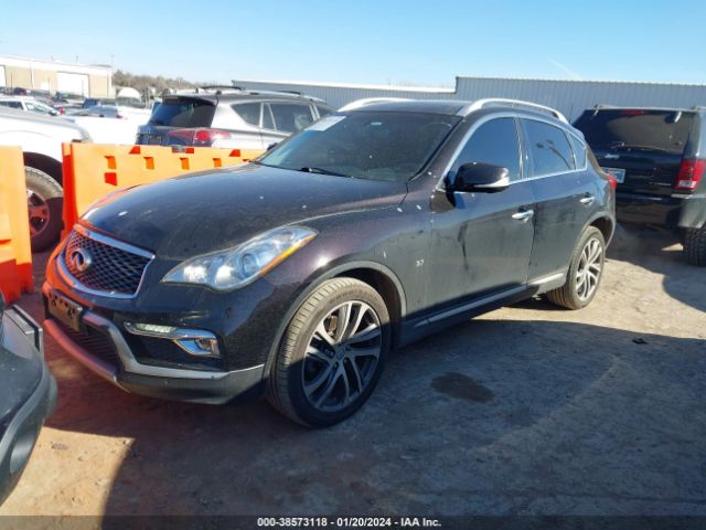JN1BJ0RR8GM268338 Infiniti QX50