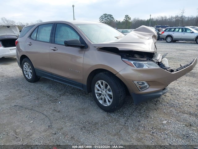 Chevrolet EQUINOX LS 2019 2GNAXHEV9K6143923 Image 1