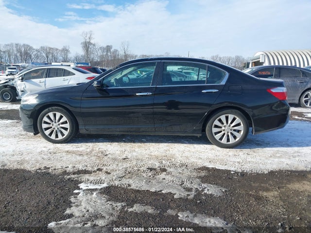 Honda ACCORD EX 2015 1HGCR2F74FA195981 Image 14