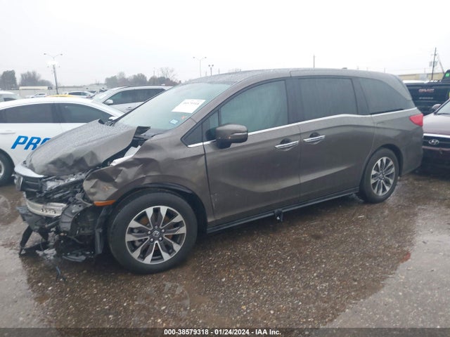 Honda Odyssey Ex-l 2023 5FNRL6H65PB007404 Image 2
