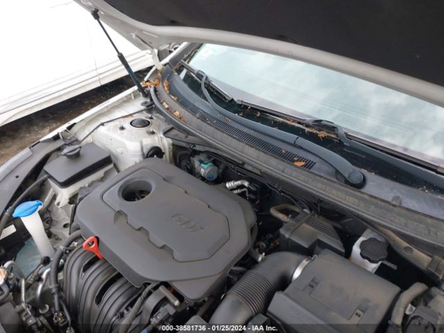 5NPE24AF5JH708954 Hyundai SONATA SE