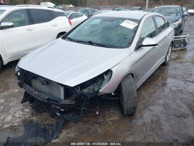 5NPE24AF5JH708954 Hyundai SONATA SE