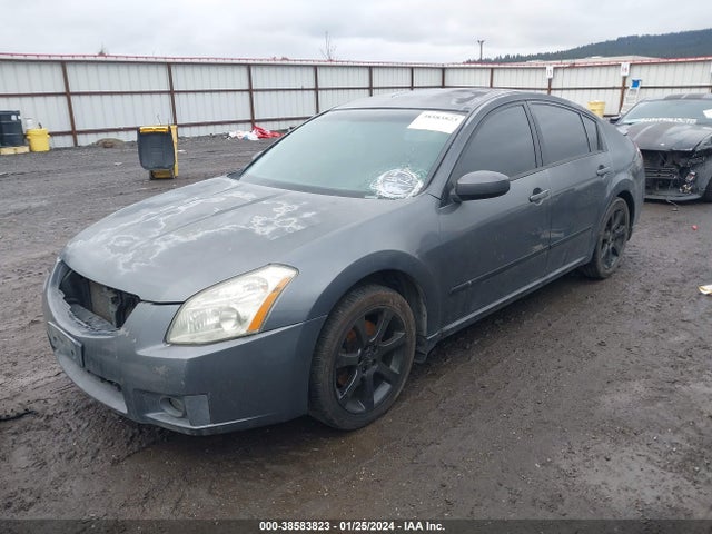 2007 NISSAN MAXIMA 3.5 SE VIN: 1N4BA41E87C820719