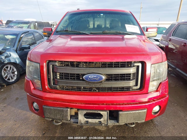2013 FORD F-150 FX4 VIN: 1FTFW1EFXDKF25637