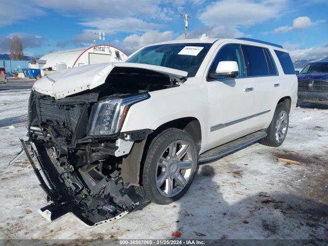 Cadillac Escalade Luxury 2019 1GYS4BKJXKR374137 Image 2