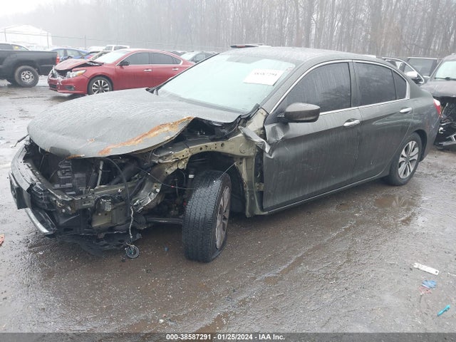 Honda ACCORD LX 2015 1HGCR2F31FA095110 Image 2
