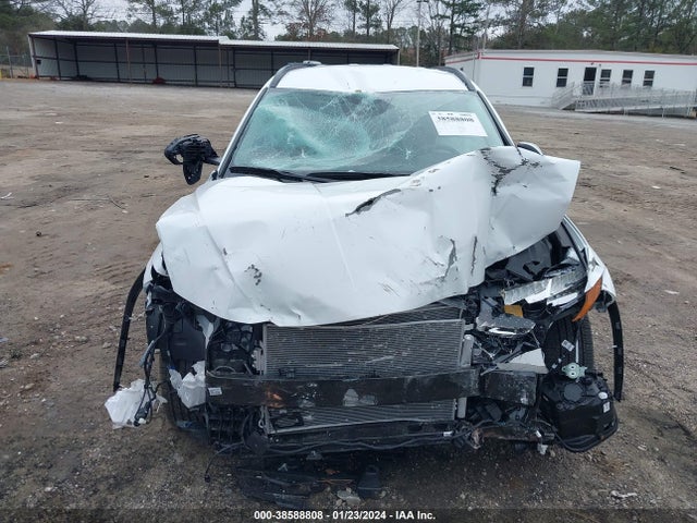 Hyundai TUCSON SEL 2024 5NMJB3DE1RH335819 Image 12