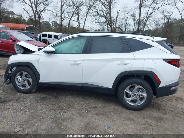 Hyundai TUCSON SEL 2024 5NMJB3DE1RH335819 Image 14