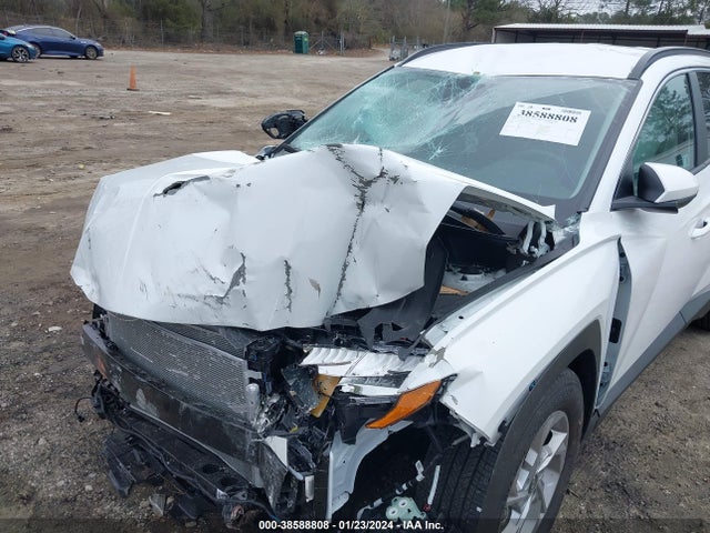 Hyundai TUCSON SEL 2024 5NMJB3DE1RH335819 Image 6