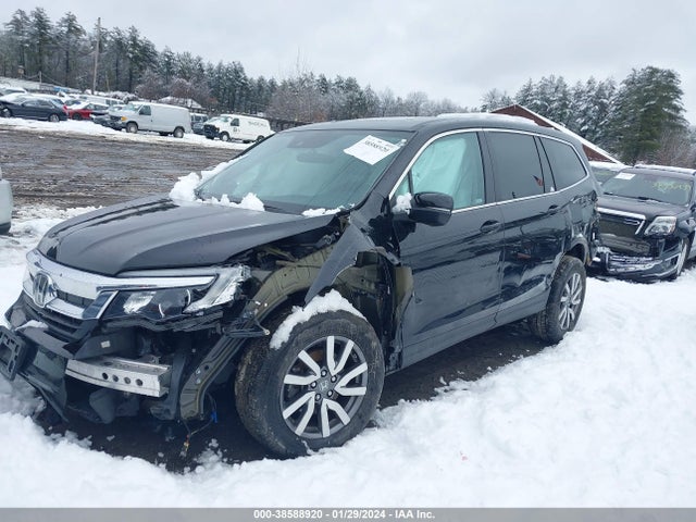 Honda Pilot Awd Ex-l 2022 5FNYF6H56NB033033 Image 2
