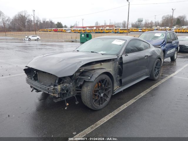 1FA6P8AM3H5202602 Ford Mustang V6
