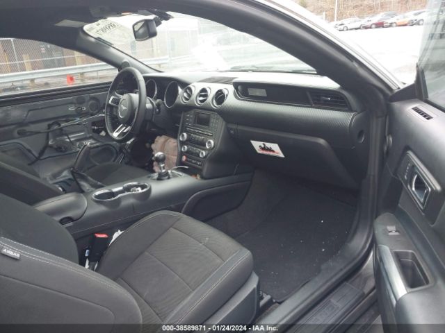 1FA6P8AM3H5202602 Ford Mustang V6